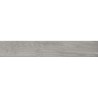 Tatami grijs 20x120 cm Hout effect tegels