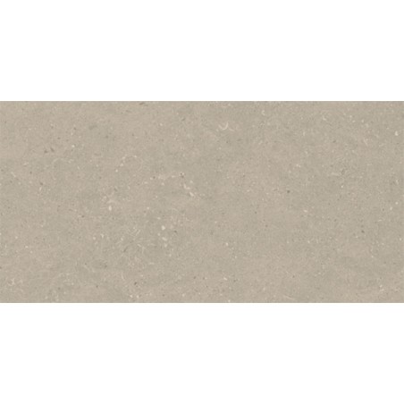 Limestone Earth 30X60 cm tegels met steeneffect