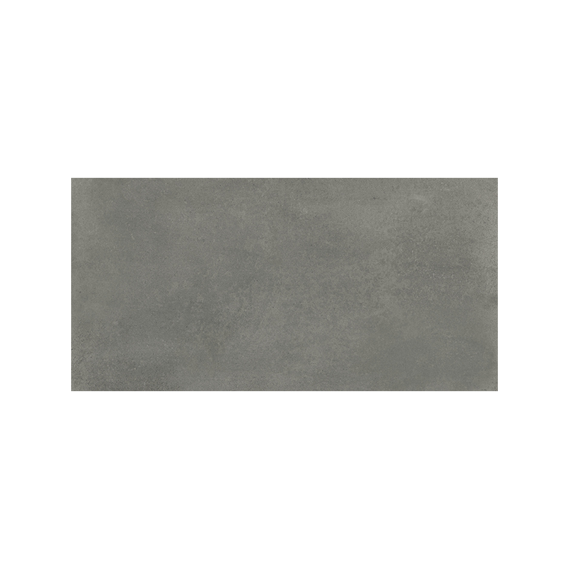 Evo Grijs Mat 60X120 cm Cement Effect Tegel