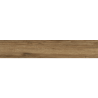 Ceylon List.22 NPLUS Glossy Oak 22X118 cm Tegels met houteffect