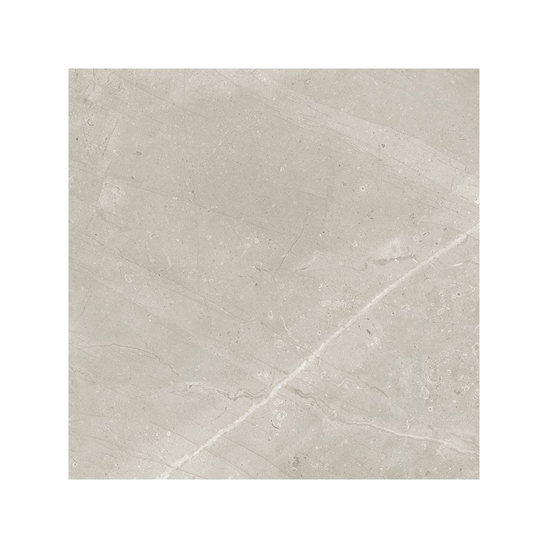 Milord Gris Mat 60X60 cm carrelage Effet Marbre