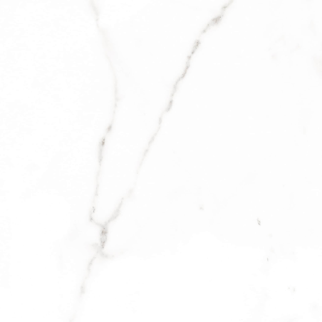 Palatina blanc brillant 60,5X60,5 cm carrelage Effet Marbre