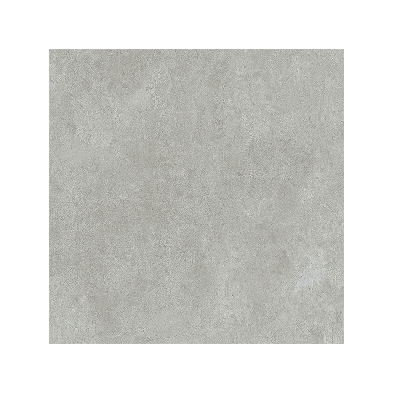 Tamy gris mat 60,5X60,5 cm indoor out carrelage Effet Ciment